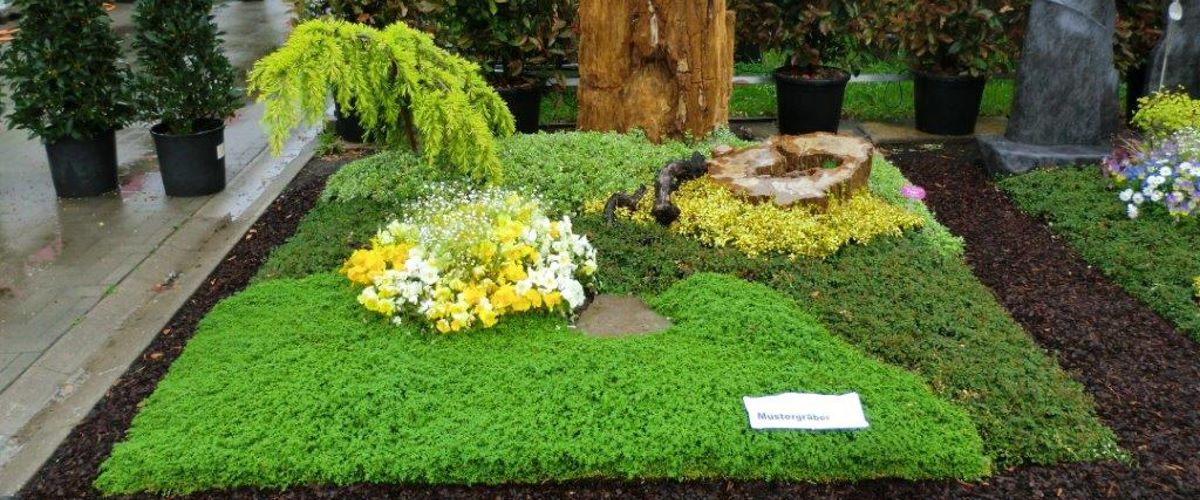 Headerbild Friedhofsgärtnerei